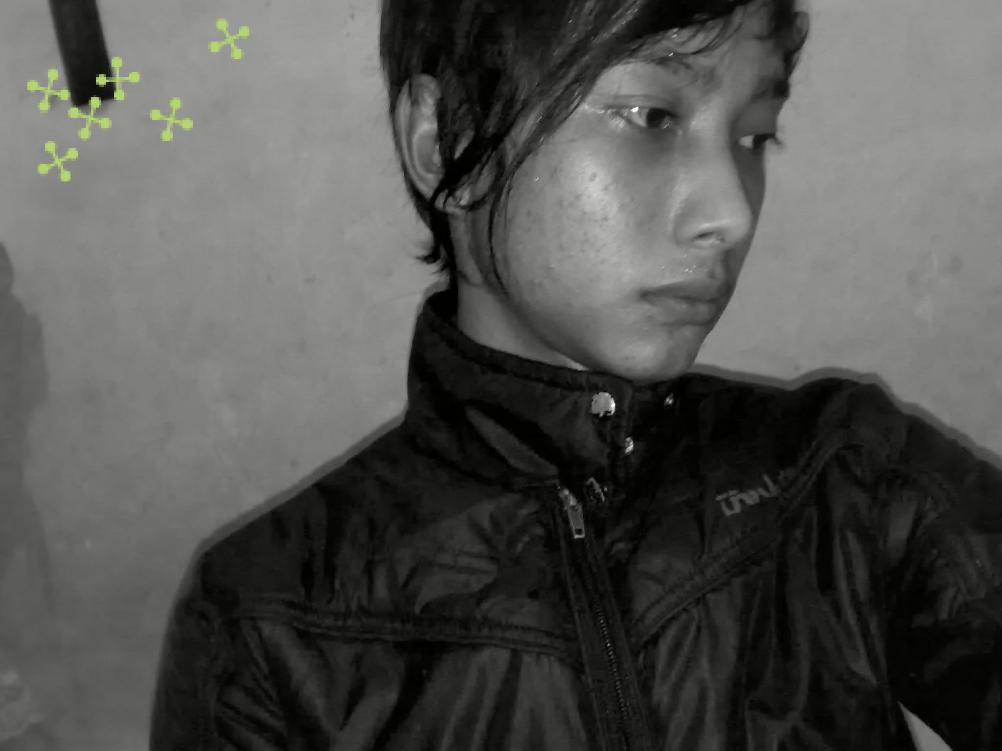 Rega
